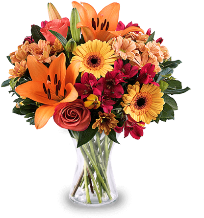 Lilies And Roses - International Women Day Flowers (480x480), Png Download