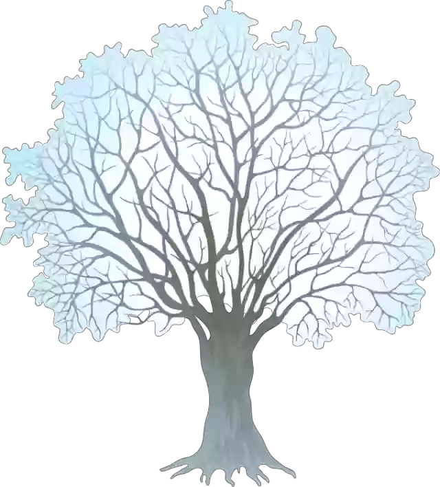Winter-tree - Winter Tree Clipart (640x708), Png Download