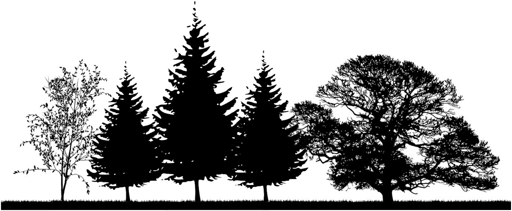 The Right Tree, In The Right Place, Can Help Provide - Oak Tree Silhouette Png (1041x429), Png Download