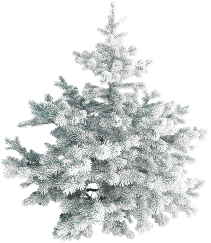 Похожее Изображение - Snowdrop Die Maltesische Weihnachtskarte Karte (416x480), Png Download