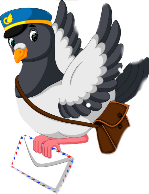 Pigeon Cartoon (480x626), Png Download