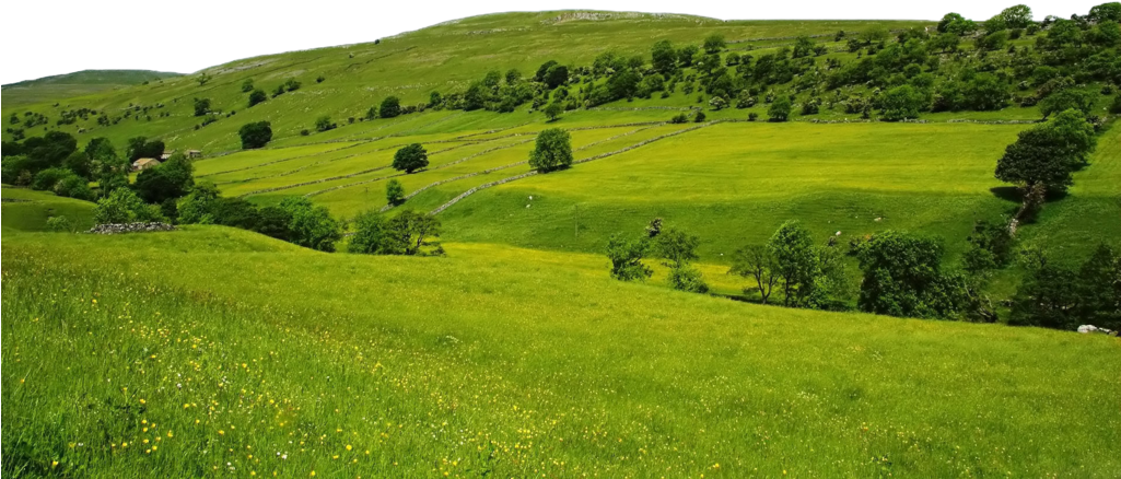 Green Nature Png File -use Freely By Theartist100 On - Temperate Grasslands In Europe (1024x640), Png Download