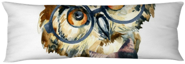 Watercolor Hipster Owl In Glasses Body Pillow • Pixers® - Cute Owl Watercolor (400x400), Png Download