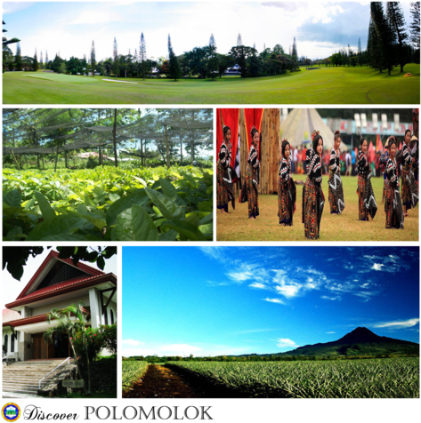 240 × 240 Pixels - Plantation (480x480), Png Download