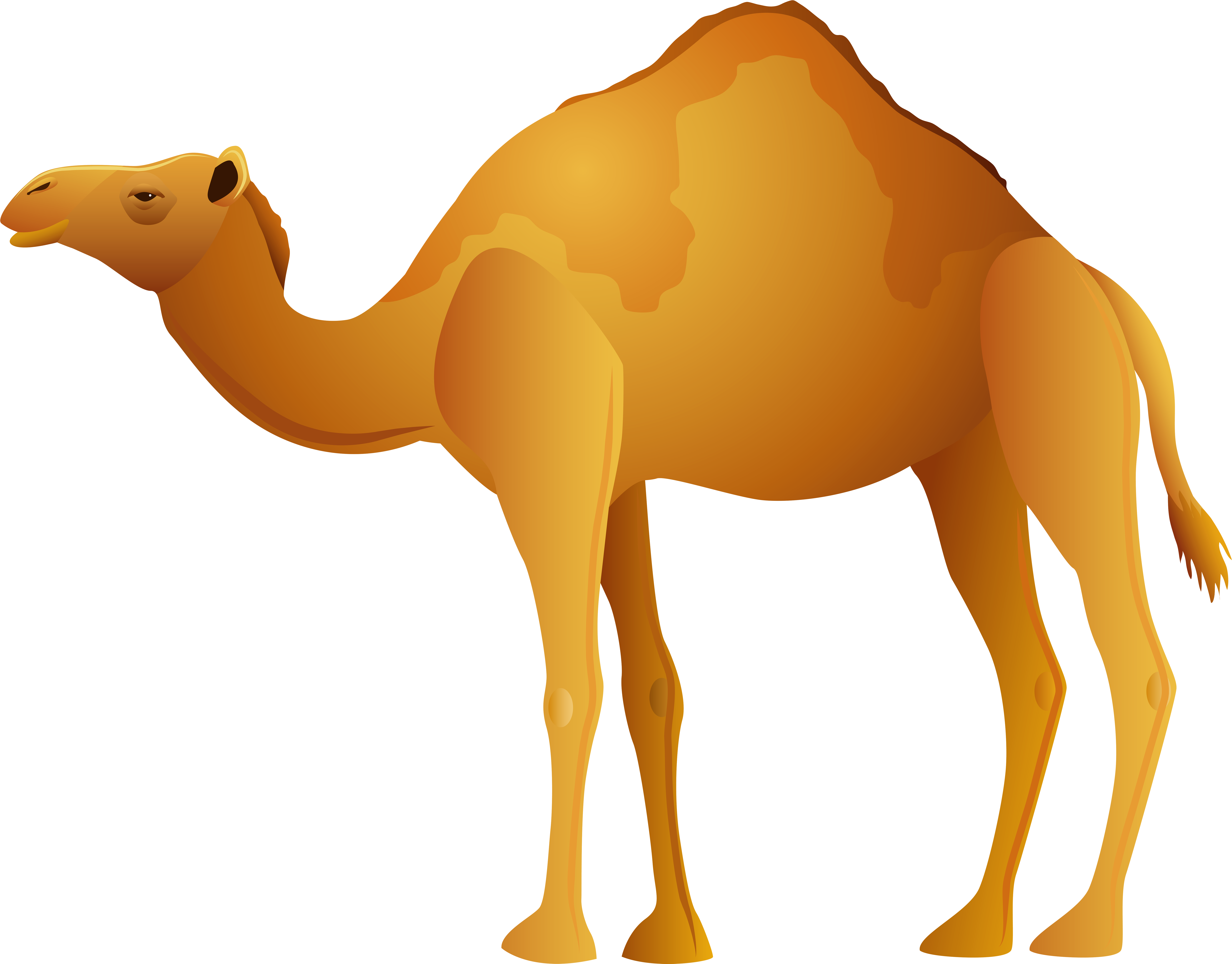 Camel Png Clip Art (8000x6257), Png Download