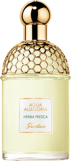Aqua Allegoria - Herba Fresca - 125ml - Guerlain Aqua Allegoria Rosa (546x546), Png Download