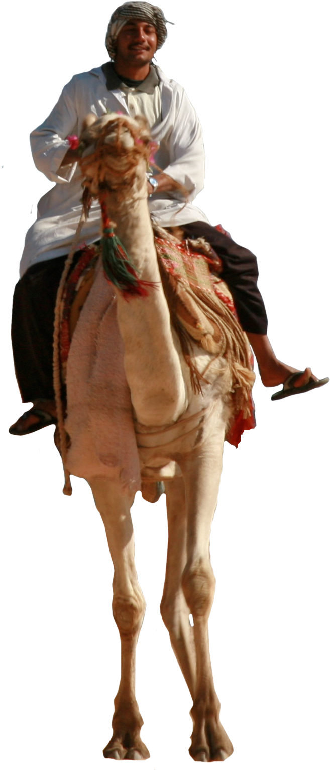 Man Riding Camel By Liber - Man Riding A Camel Png (1534x1534), Png Download