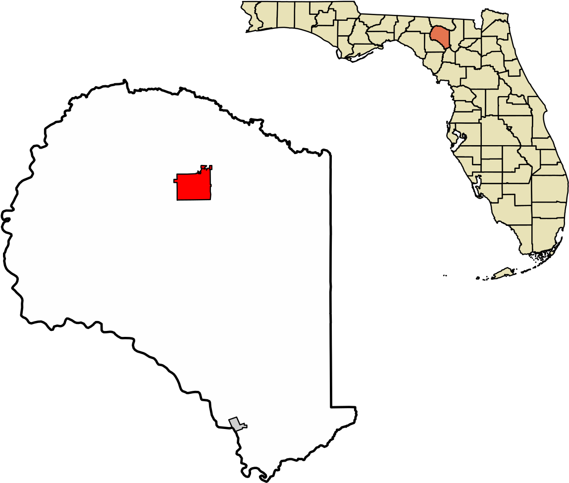 Suwannee County Florida Incorporated And Unincorporated - County Florida (1196x1024), Png Download