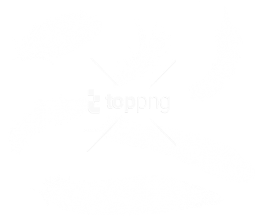 Download Feather Png Images Background - Перья Png (850x727), Png Download