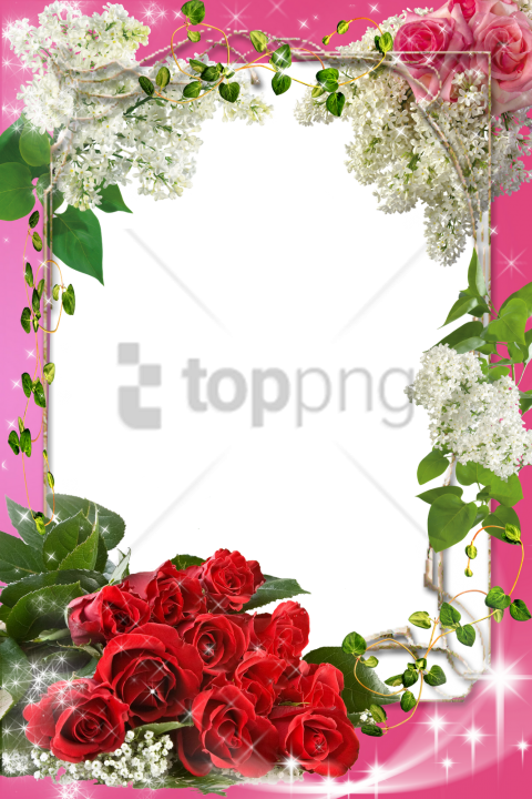 Free Png Flower Frame Photoshop Png Image With Transparent - Flower Frame Png (480x720), Png Download