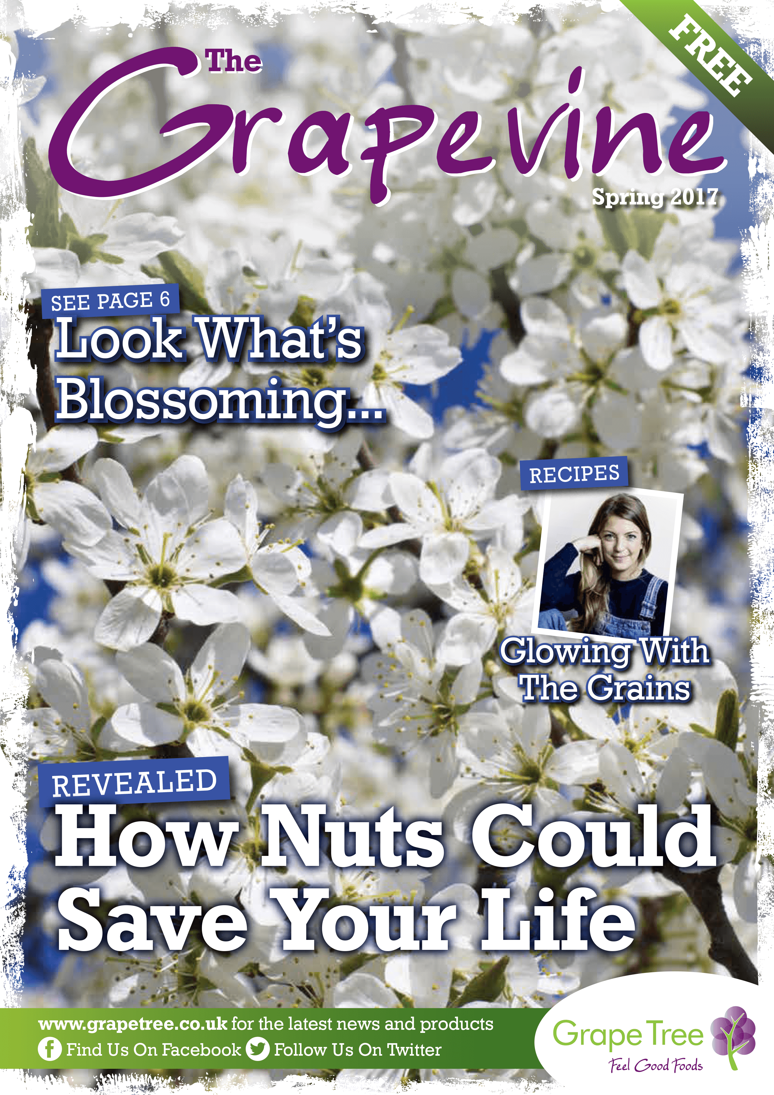 Grapevine Cover - Jasmine (2480x3508), Png Download
