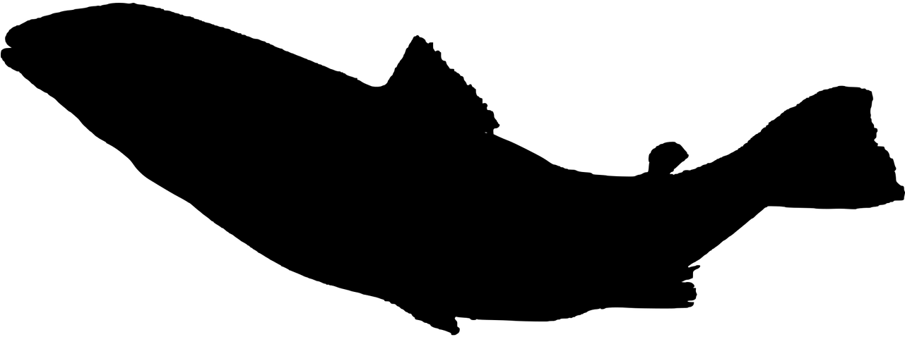 Fish Sea Life Food - Sea Life Silhouette Png (1280x640), Png Download
