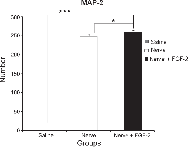 Map 2 Immunoreactivity Profiles At The Epicenter Of - Diagram (639x500), Png Download