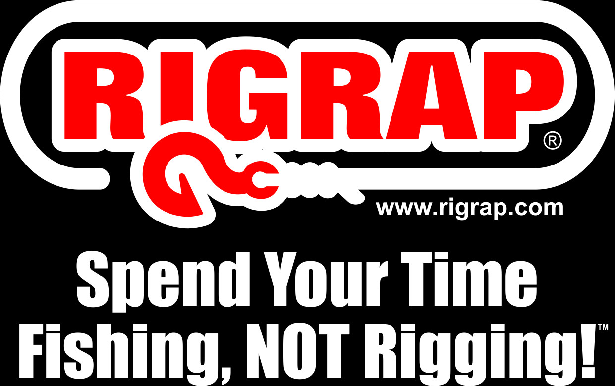 Png File Format/traansparent Background - Santa Pod Raceway (1241x779), Png Download