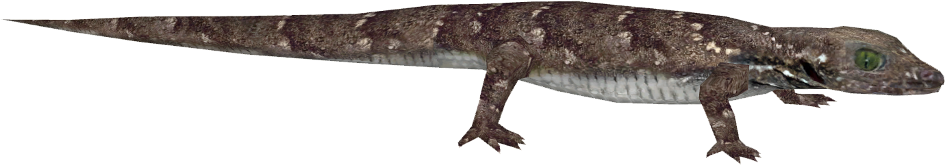 Siamese Green-eyed Gecko - Gekkonidae (1379x1379), Png Download