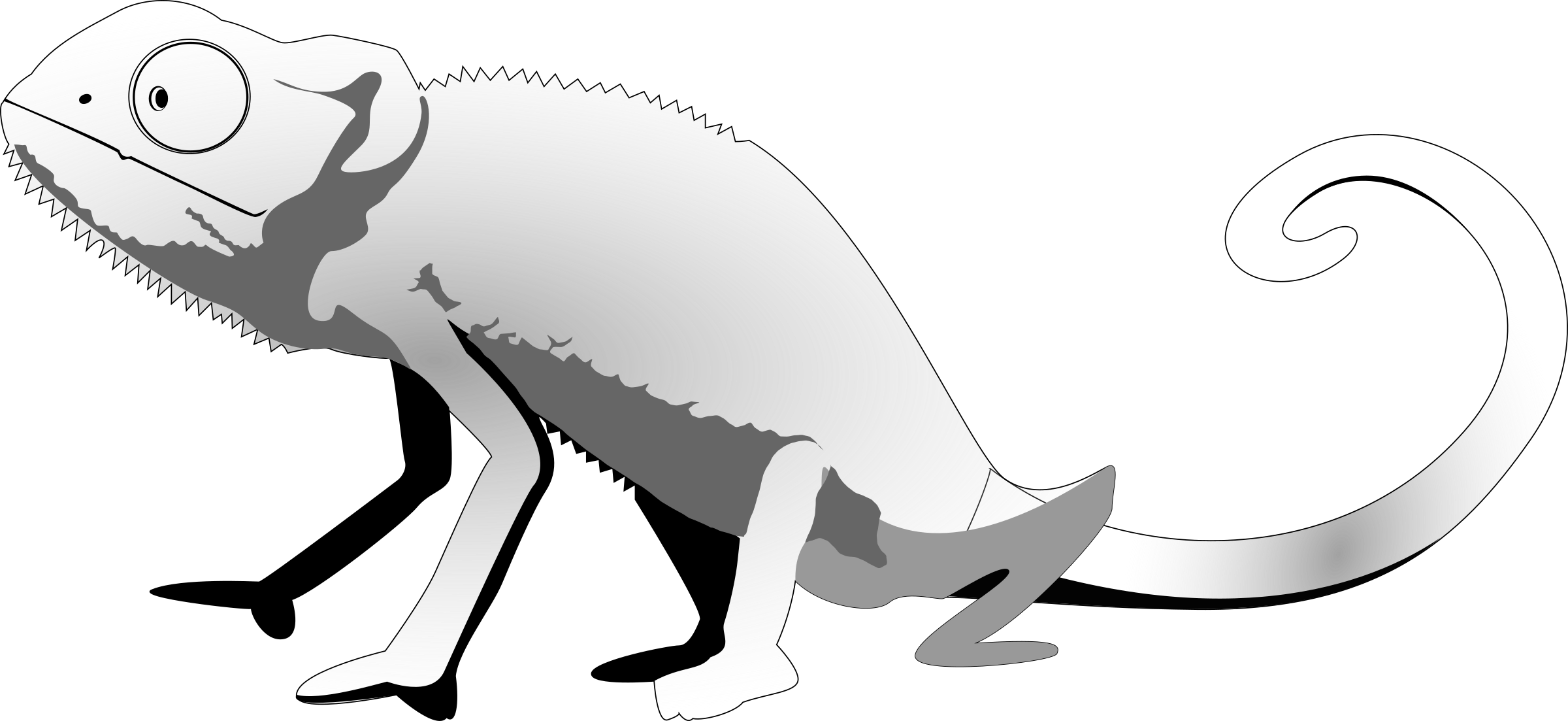 Big Image - Cute Black And White Lizards (2400x1103), Png Download