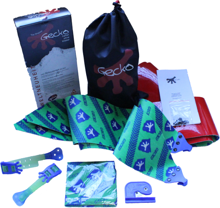 Gecko Gecko Standard Fell - Gecko Ski Skins (725x684), Png Download