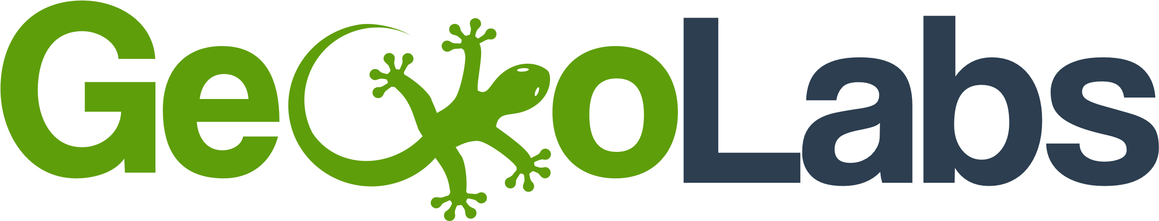Gecko Form (2421x513), Png Download