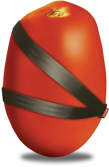 Nuestros Tomates, Viajan En Primera Clase - Squash (600x600), Png Download