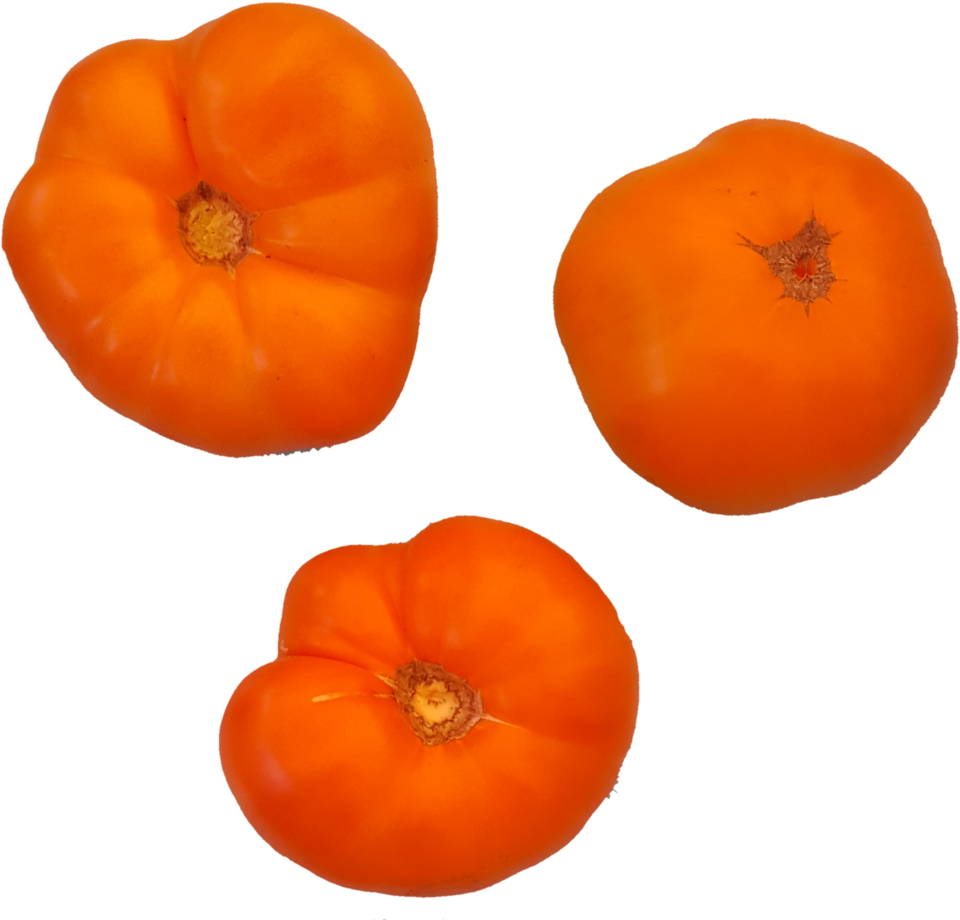 1532382429543 - Tomato (1000x947), Png Download