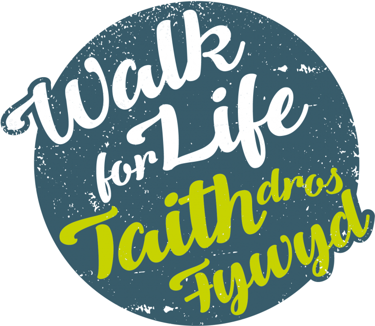 Walk For Life - Calligraphy (900x900), Png Download