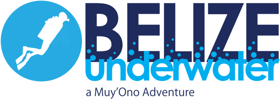 Bu W Mo - Graphic Design (1000x369), Png Download