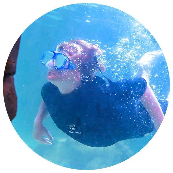 Select Number Of Snorkel With Stingrays Plus Admission - Underwater (600x600), Png Download