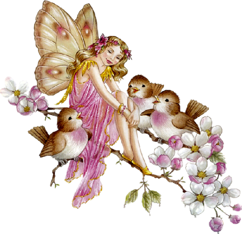 Good Morning Bird Gif (800x774), Png Download