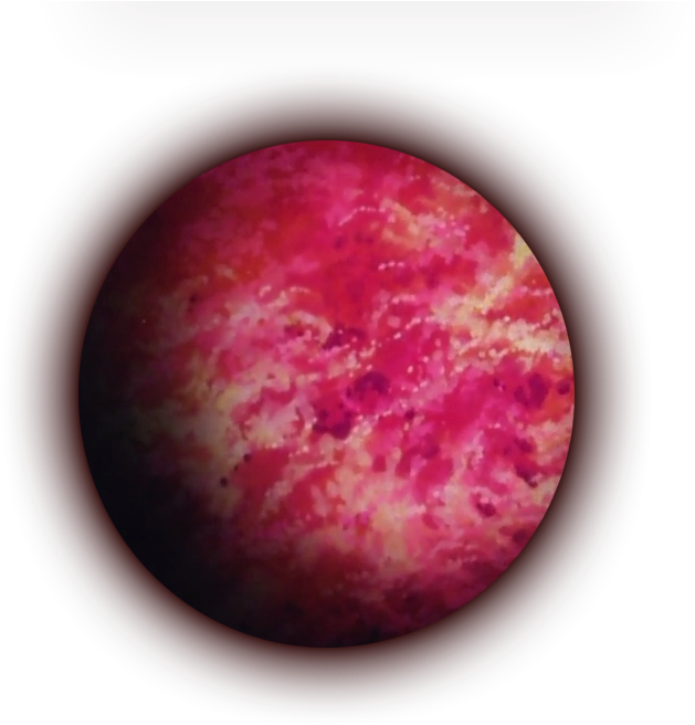 Planeta Vevoria - Planet Vegeta (700x700), Png Download
