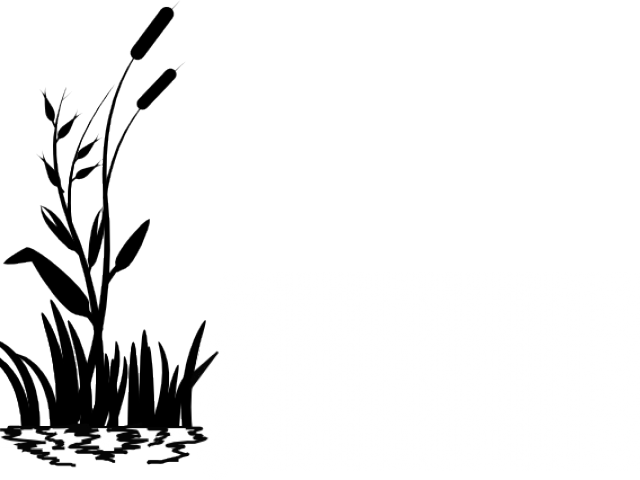 Grass Vector Png (640x480), Png Download