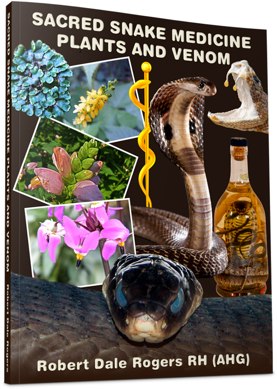 Sacred Snake Medicine, Plants And Venom - Champagne (800x906), Png Download