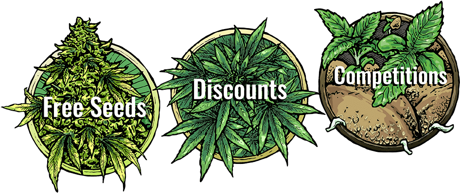 Spend €99 Get Your 14 Seed 420 Mega Bundle - Coin (1000x497), Png Download