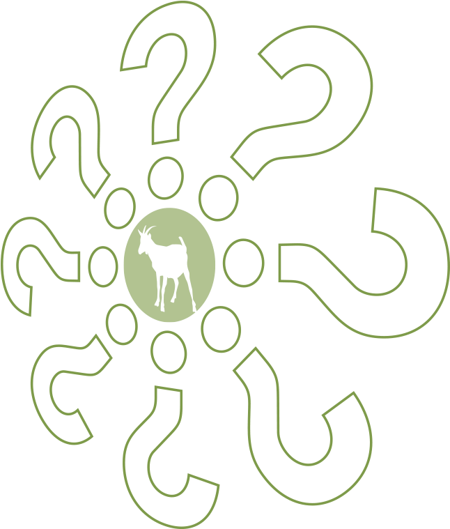 Questions About Easykeeper (691x798), Png Download
