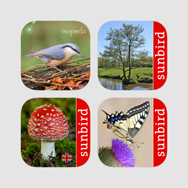 Sunbird Xxl Nature Box Uk - Agaric (630x630), Png Download