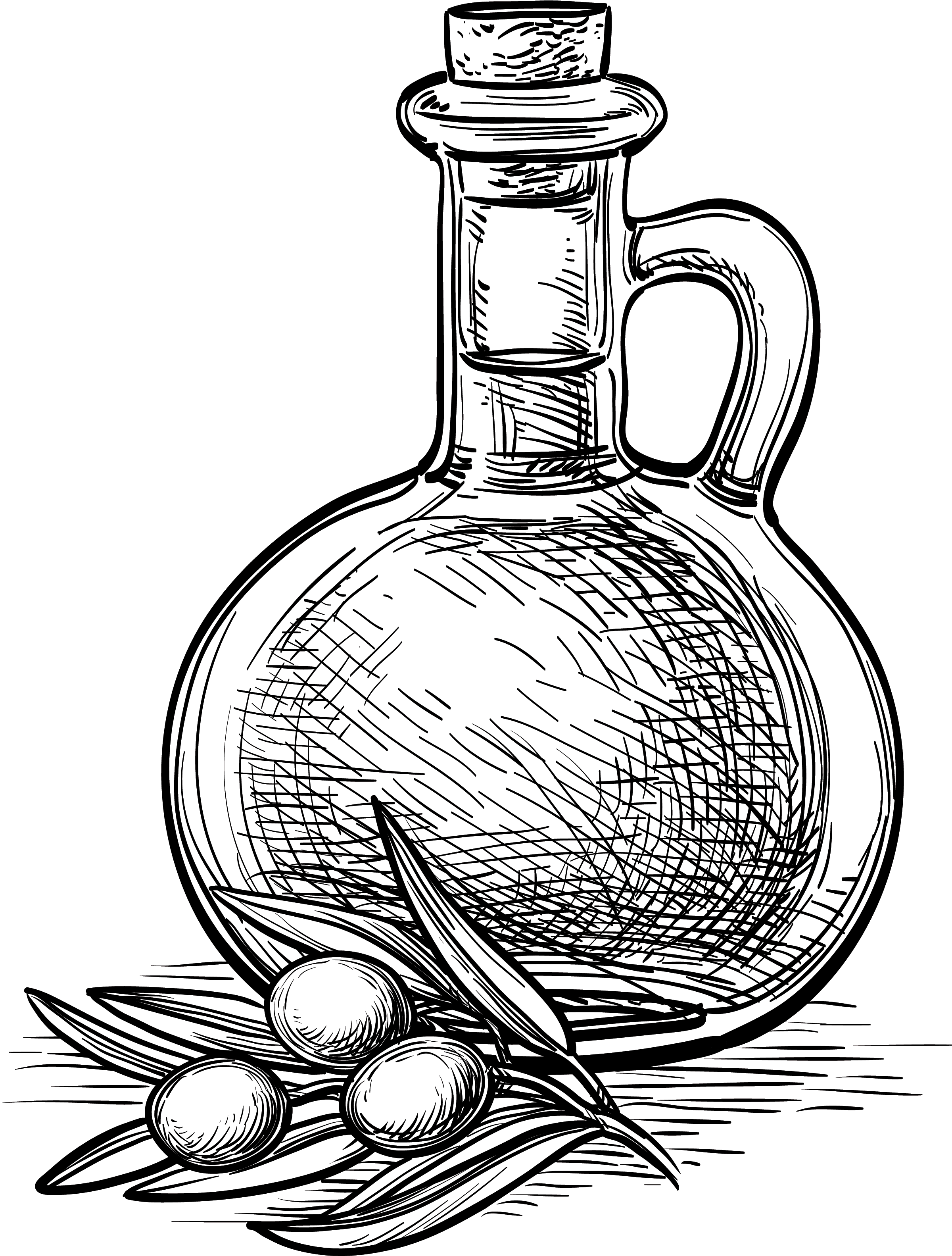 2541 X 3291 5 - Olive Sketch Vector Free (2541x3291), Png Download