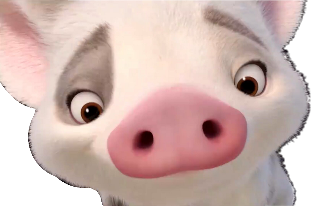 Pua Sticker - Moana (1024x679), Png Download