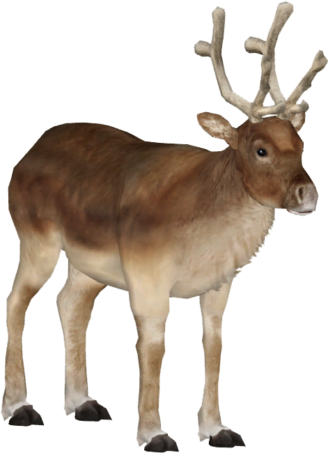 Caribou Png - Reindeer (649x649), Png Download