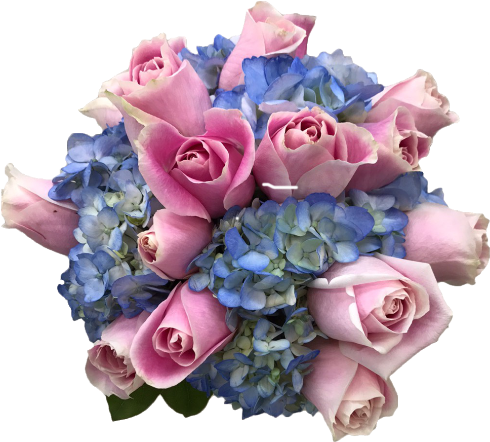 1 Bridal Bouquet With 8 Pink Roses And 5 Blue Hydrangeas - Garden Roses (977x1023), Png Download
