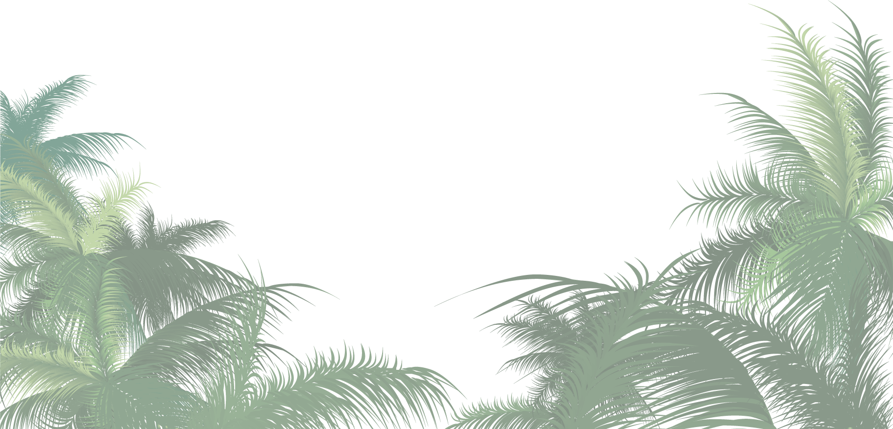 Scroll Down Ménagerie By Night - Png Palm Tree Leaves (1823x877), Png Download