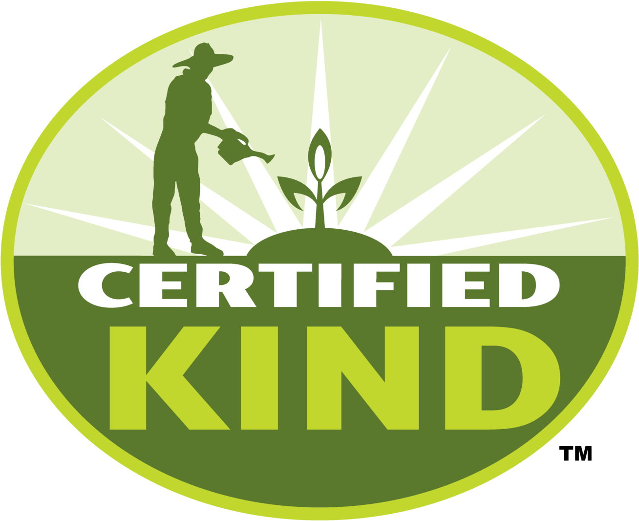 1500 X 1287 1 - Graphic Design (1500x1287), Png Download