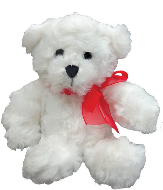 Teddy Bear (800x800), Png Download