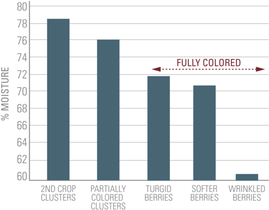 Many Of These Changes Could Be Directly Related To - Number (800x450), Png Download