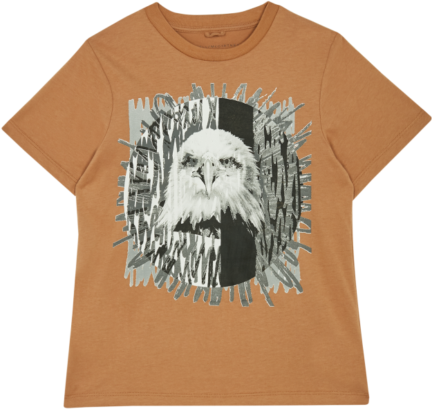 Chewbacca (700x700), Png Download