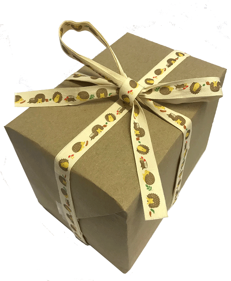Hedgehog Design Ribbon - Gift Wrapping (900x900), Png Download