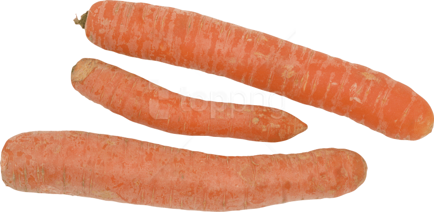 Free Png Carrot Png Images Transparent - Baby Carrot (850x415), Png Download