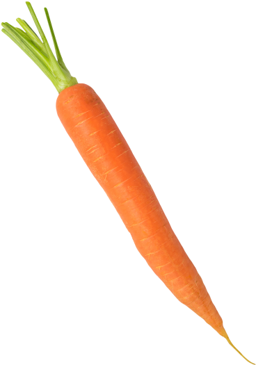 Carrot - Baby Carrot (866x650), Png Download
