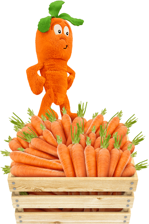 Cathy Carrot (750x750), Png Download