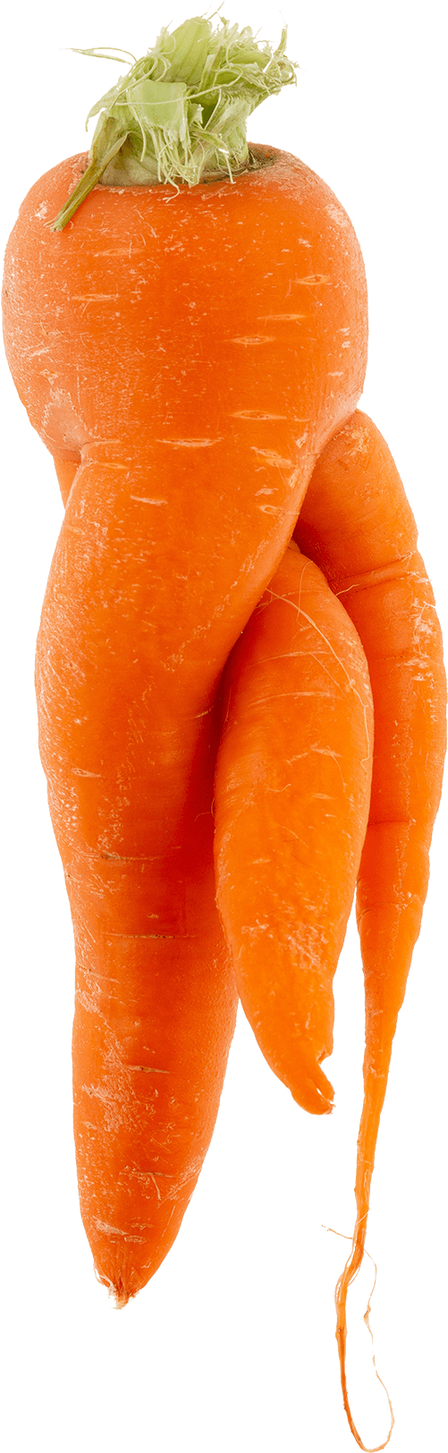 R - Wonky Carrot (500x1632), Png Download