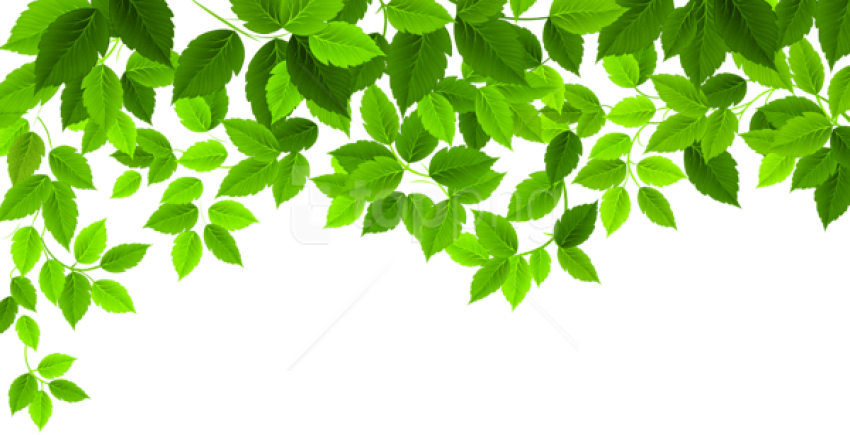 Free Png Download Spring Leaves Decoration Png Images - Spring Png (850x435), Png Download