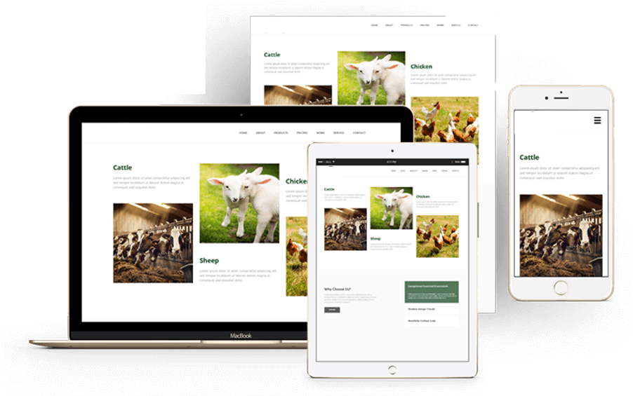 Zelco - Online Advertising (1164x752), Png Download